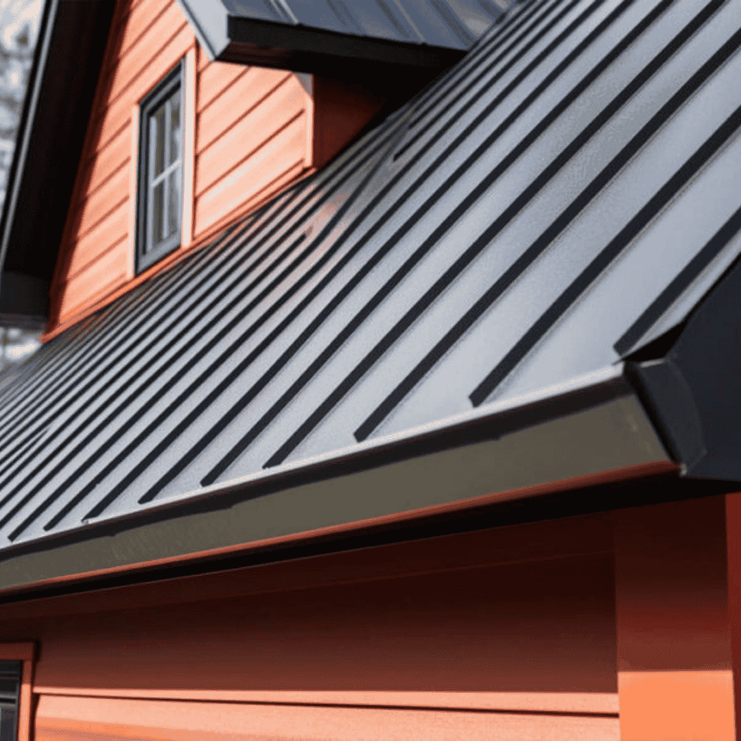 Untitled design (16) (1)